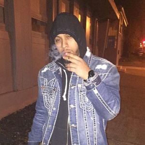 Meet your Posher, Leo